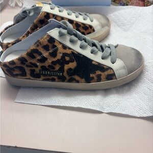 Look alike golden goose